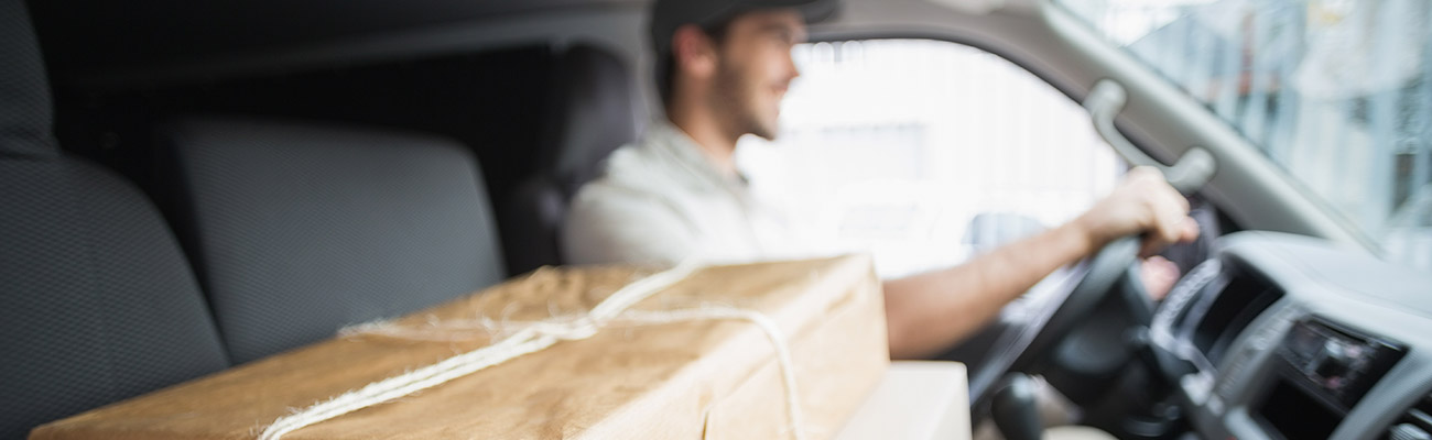 SPEDIZIONE IN 24 ORE con corriere espresso